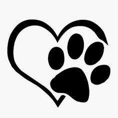 Donation Animal Shelter